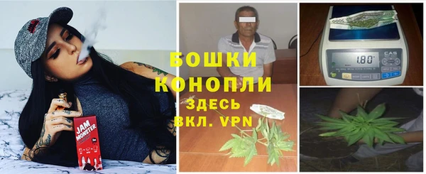 молекула духа Нягань
