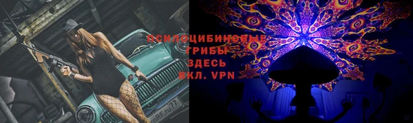 молекула духа Нягань
