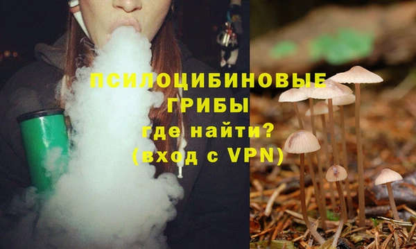 молекула духа Нягань