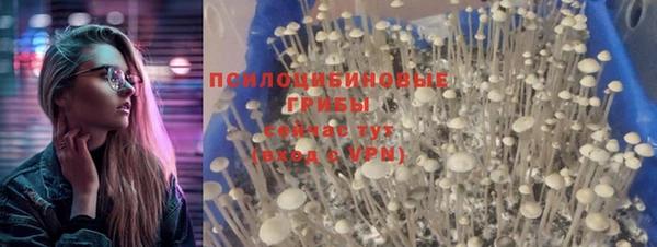 амфетамин Няндома