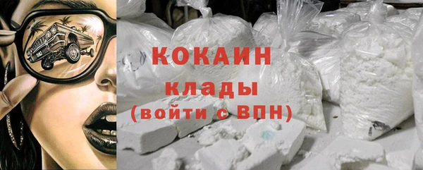 молекула духа Нягань
