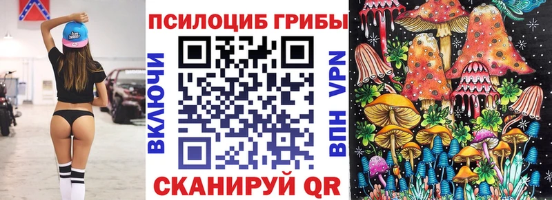 Галлюциногенные грибы GOLDEN TEACHER  цены наркотик  Хилок 